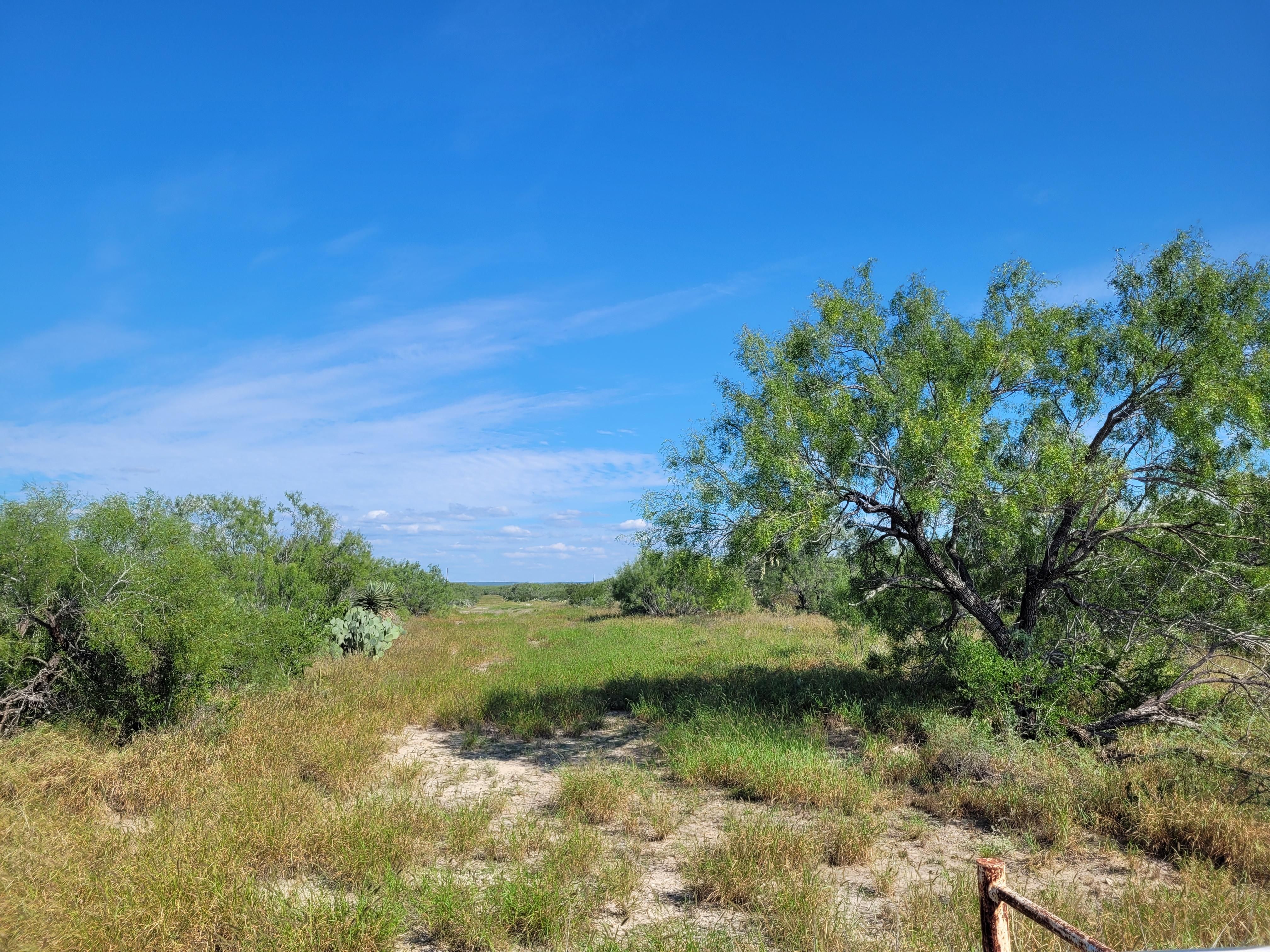 Manvel, TX service area