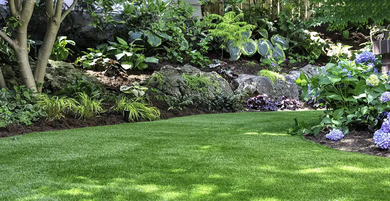 Artificial Turf Maintenance and Repair in Pearland, TX