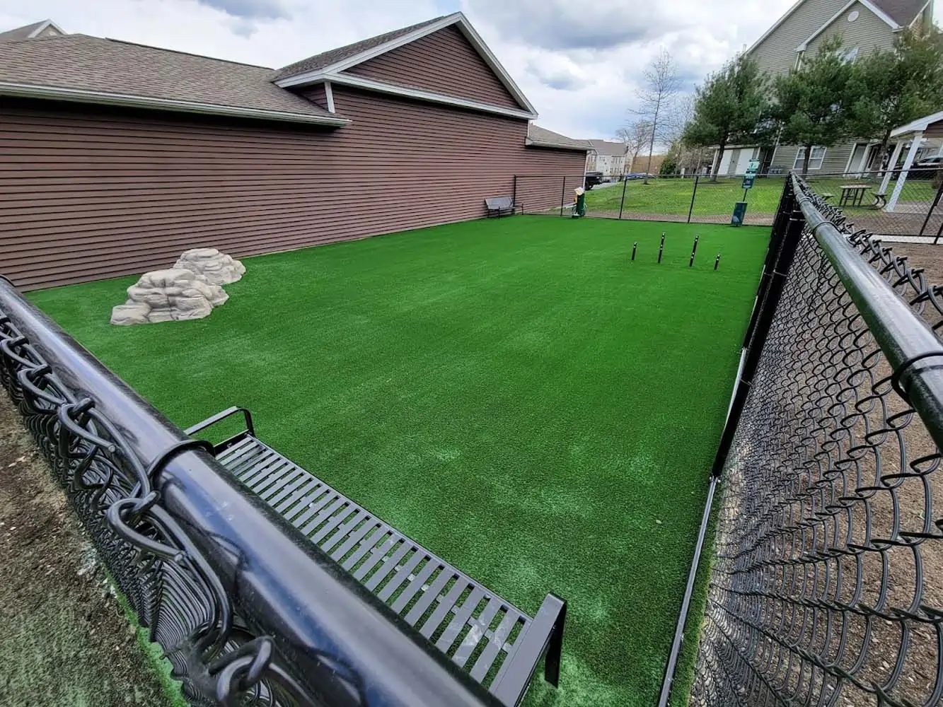 Pet Friendly Artificial Turf Installation in Pearland, TX